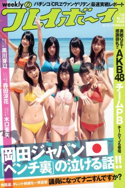 莲花楼 电视剧